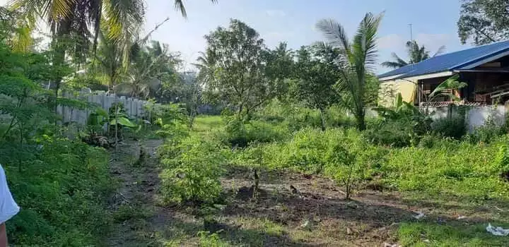 BRGY BATO TOLEDO CITY — Commercial Lot in Cebu, Philippines — Photo 7