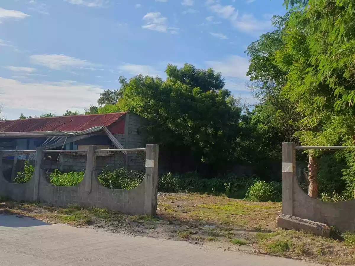 300 sqm Lot for Sale