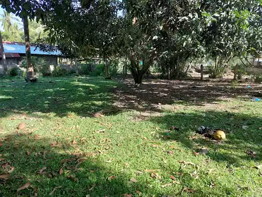 Rush Sale Lot in Dumaguete — Agricultural Lot in Albina Dr, Dumaguete, Negros Oriental — Photo 3