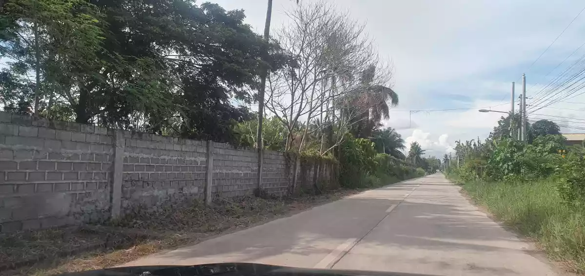 Purok 15 Road Property  - photo 3