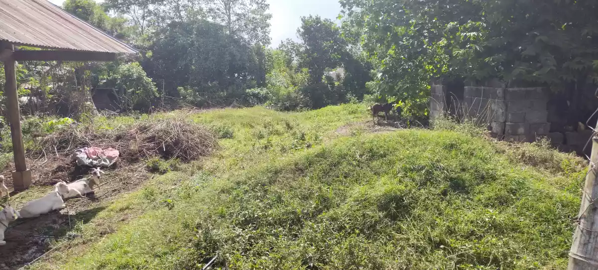 Alabel poblacion - photo 2