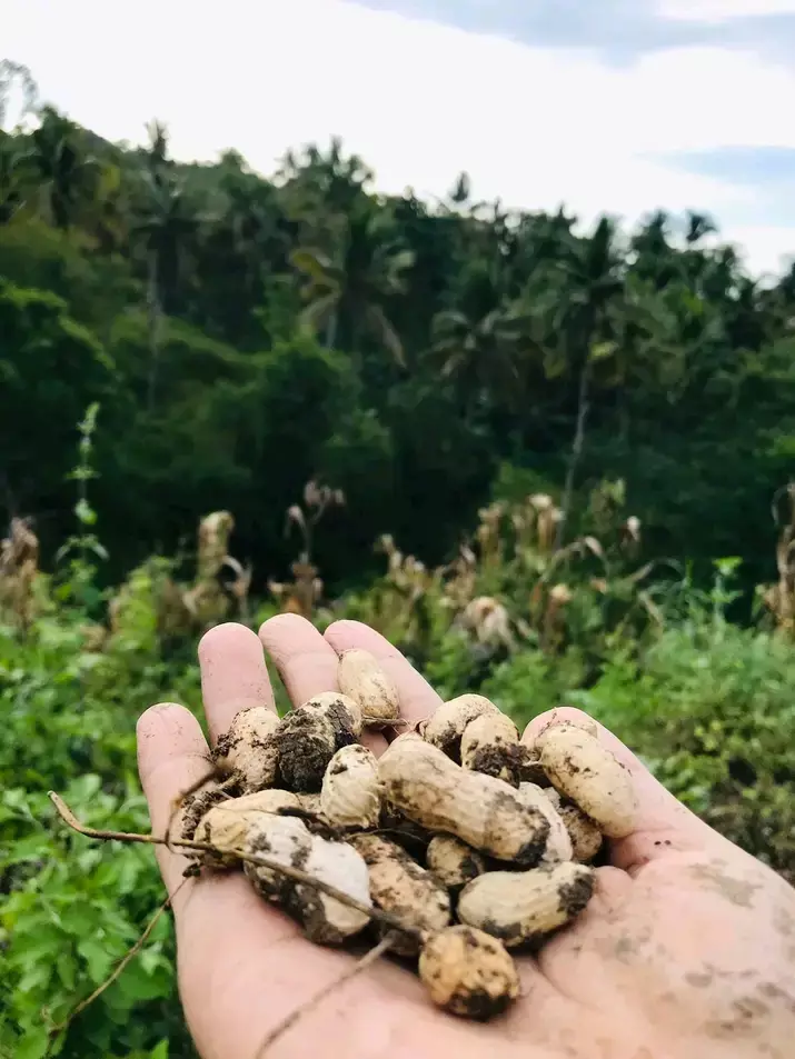 Farm Land — Agricultural Lot in Misamis Oriental, Philippines — Photo 4