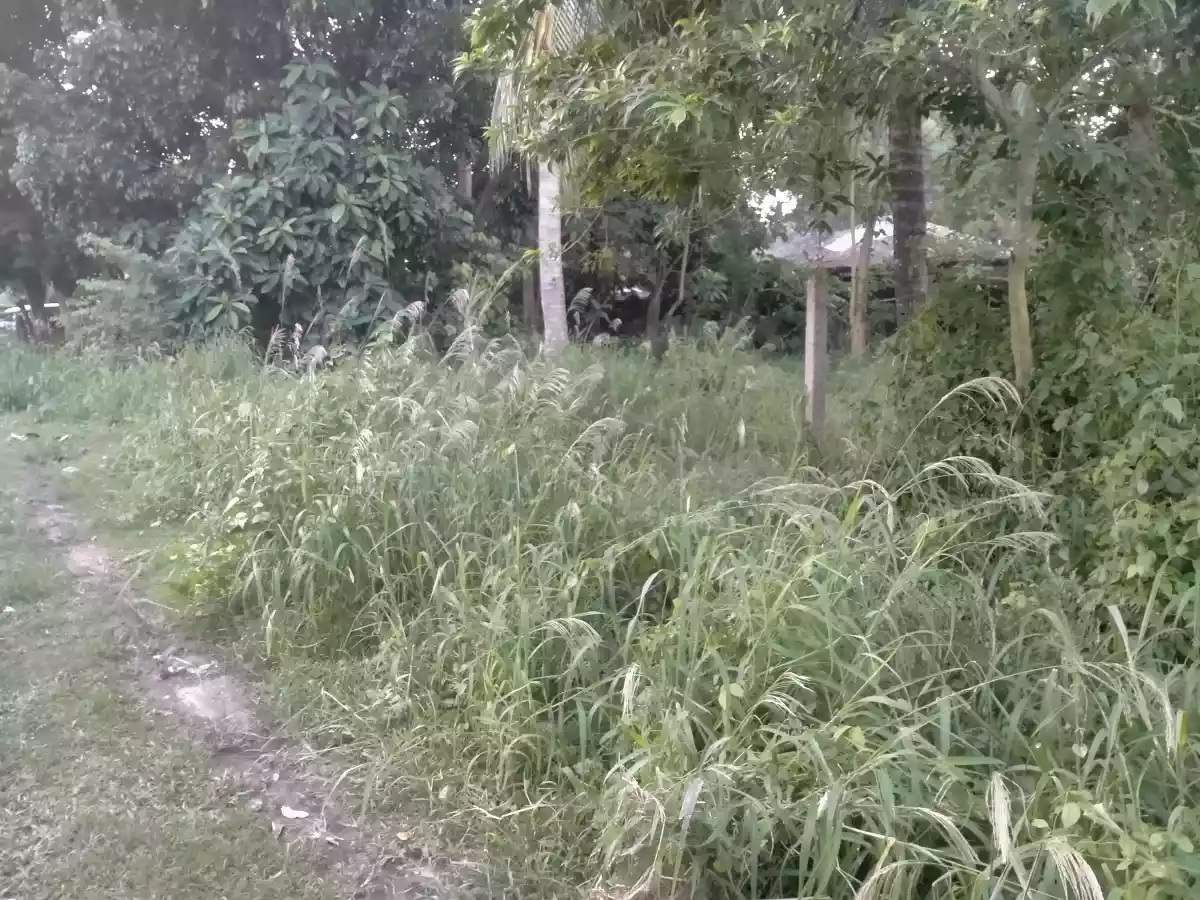 LOT FOR SALE IN BAGACAY DUMAGUETE CITY - photo 4