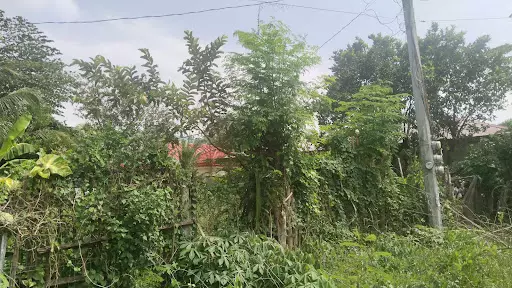 2 Lots for Sale in Lacap Subd., Gensan — Residential Lot in General Santos City, South Cotabato, Philippines — Photo 6