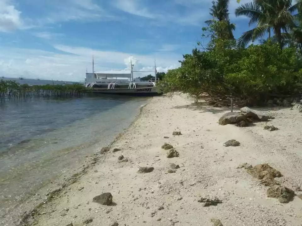 MALAPASCUA BEACH LOT FOR SALE - photo 5