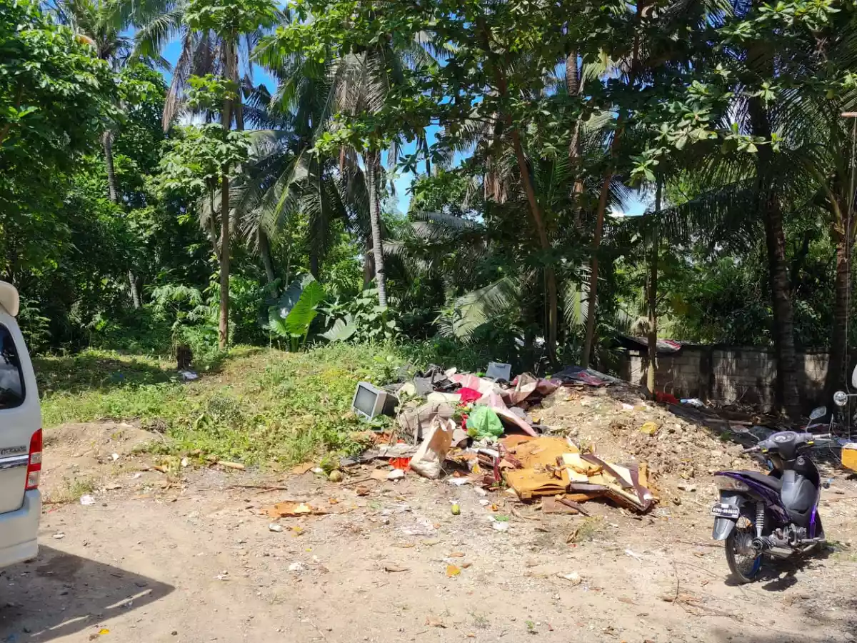 Residential Lot in Canduman, Mandaue City - photo 7