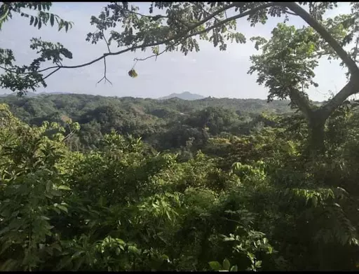 San Juan 134has — Agricultural Lot in San Juan, Batangas, Philippines — Photo 3
