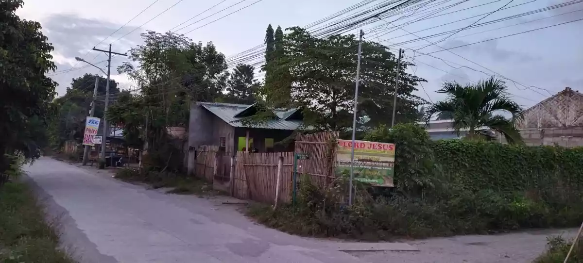 Corner lot apartment paseo de paz - photo 5