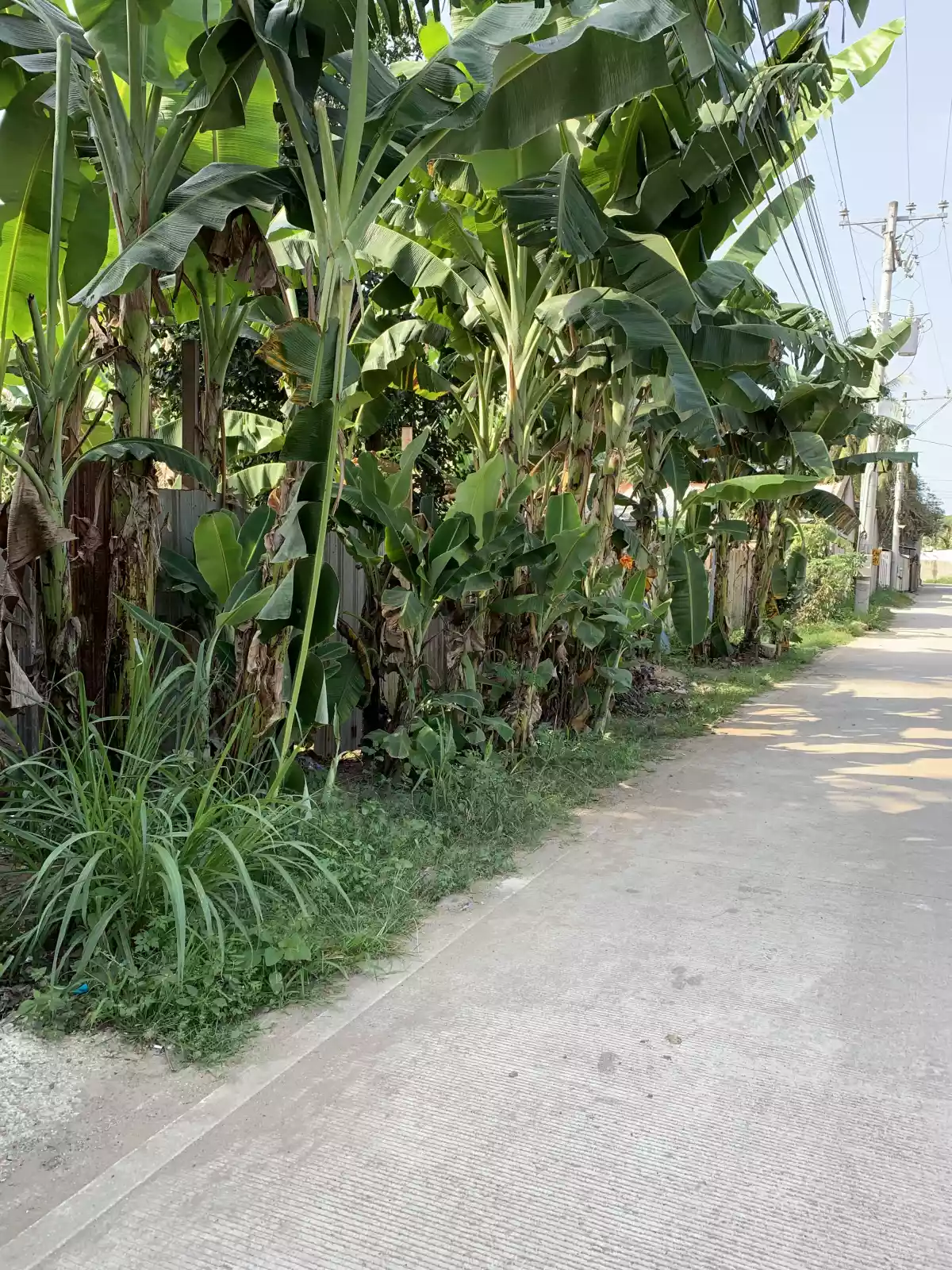 Lot in Sambag San Vicente Liloan - photo 3