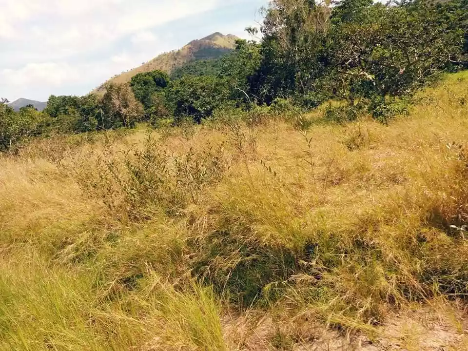 RESIDENTIAL LOTS FOR SALE IN CORON, PALAWAN — Residential Lot in Palawan, Philippines — Photo 4