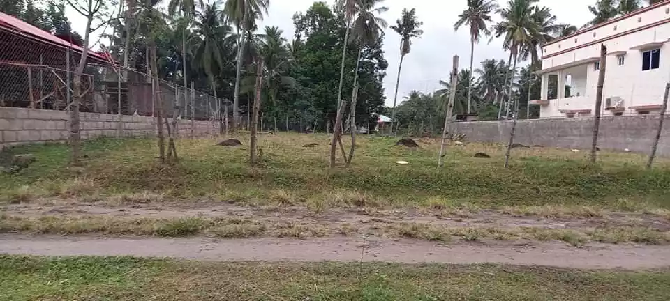 Clean title Lot for Sale in Talay Dumaguete City — Agricultural Lot in Negros Oriental, Philippines — Photo 2