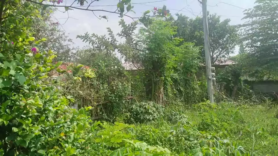 300 & 308 sqm Residential Lots for Sale in Lacap Subd., Gensan — Agricultural Lot in Lacap Subdivision, General Santos City, South Cotabato — Photo 3