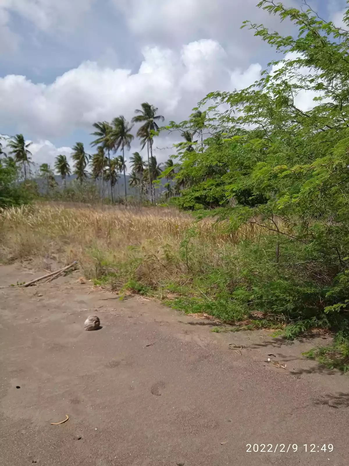 Beachfront — Beach Lot in Unnamed Road, Narra, Palawan — Photo 5