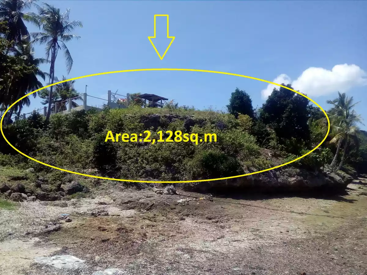 Beach/Cliff Lot with Native House - photo 3
