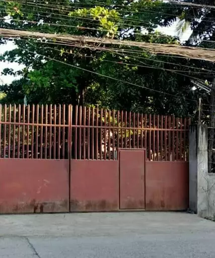 Minglanilla Lot For Sale — Commercial Lot in Minglanilla, Cebu, Philippines — Photo 2