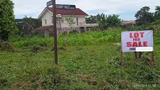 RUSH SALE! Corner Lot for Sale in Camella Savannah Iloilo