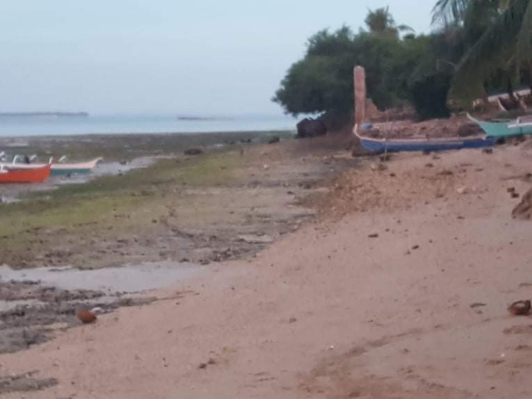 Beachlot for sale - photo 3