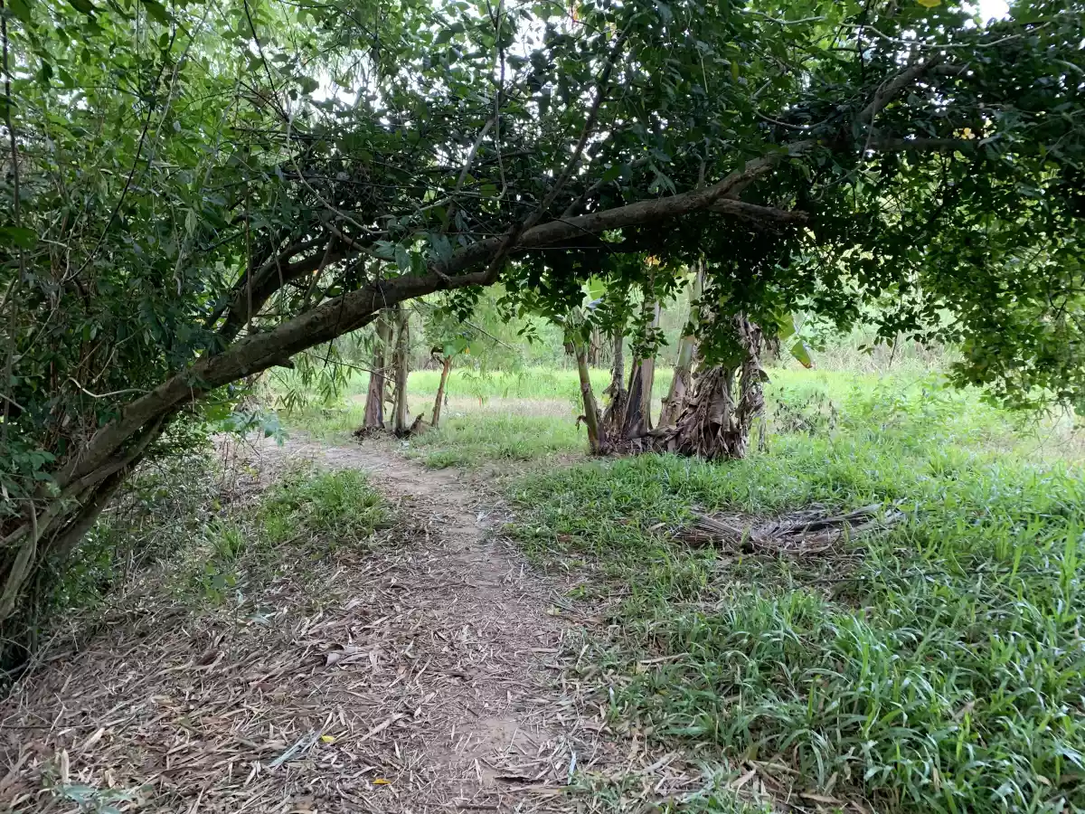 Lataban  Liloan lot for sale  - photo 4