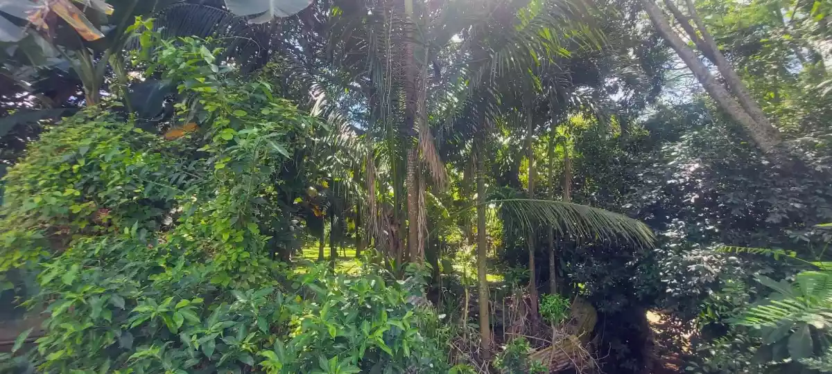 Lot for sale - photo 5