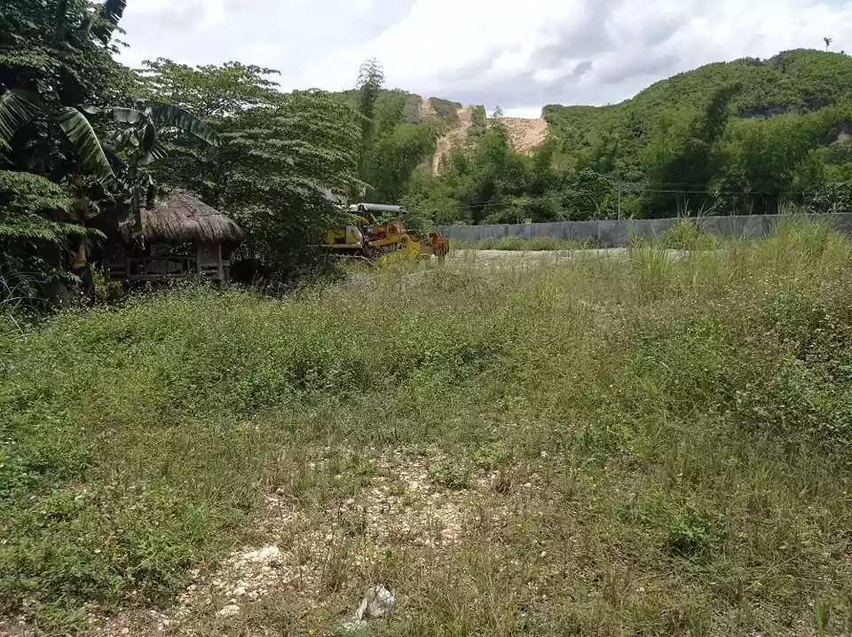 INDUSTRIAL LOT IN CONSOLACION