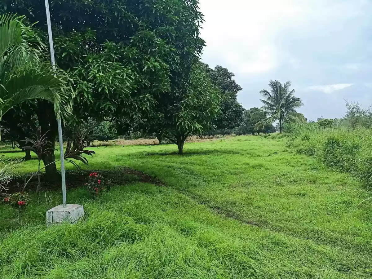 Farm land — Agricultural Lot in South Cotabato, Philippines — Photo 2