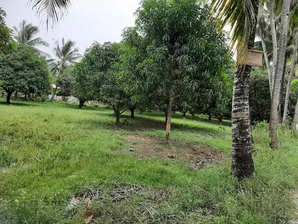 LOT FOR LEASE! - photo 6