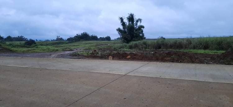 Land for Sale - photo 6