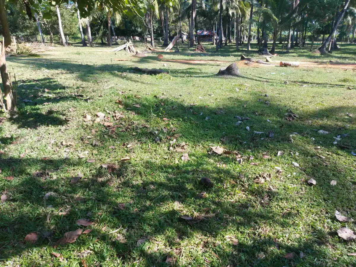 AFFORDABLE LOT FOR SALE IN SIBULAN - photo 3
