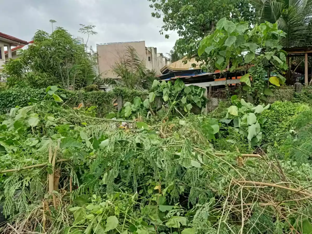 LOT FOR SALE — Residential Lot in Cebu, Philippines — Photo 2