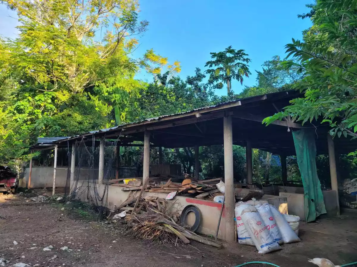 HOUSE AND LOT FOR SALE IN BAWO, SOGOD, CEBU - photo 2