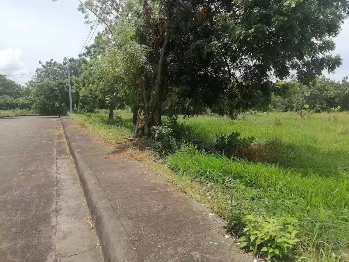 Lot for Sale