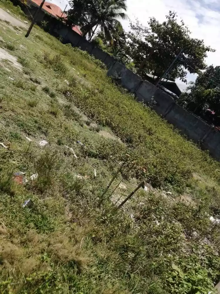 FOR SALE : 1500 SQUARE METER LOT IN MARIGONDON LAPU LAPU CITY — Agricultural Lot in Cebu, Philippines — Photo 5