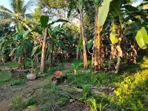 Clean Title — Residential Lot in Toril, Davao City, Davao del Sur — Photo 4