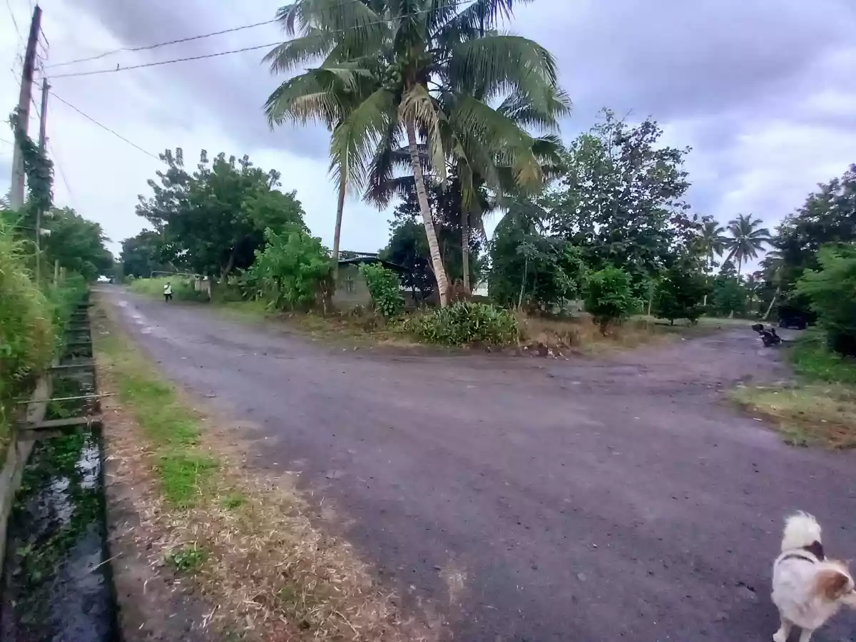 CORNER LOT FOR RENT POBLACION POLOMOLOK 