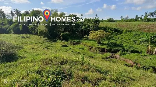 608 — Agricultural Lot in Naga, Camarines Sur, Philippines — Photo 4