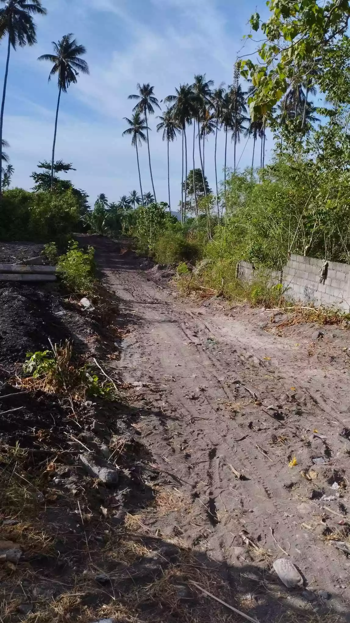 Lot For Sale Near Tropicana Beach Resort — Commercial Lot in General Santos City, South Cotabato, Philippines — Photo 4