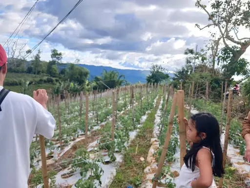Farm lot for sale — Agricultural Lot in Cebu City, Cebu, Philippines — Photo 4