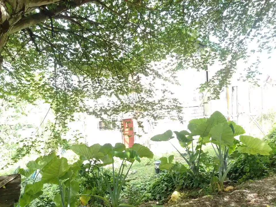 Titled lot for sale in Lilo an