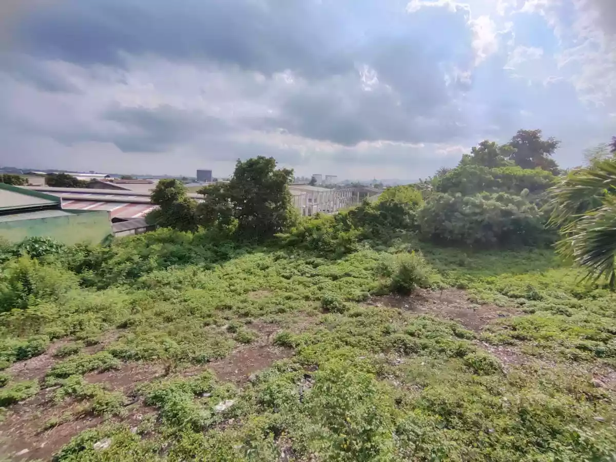 FOR SALE Lot in Tayud, Consolacion, Cebu — Agricultural Lot in Consolacion, Cebu, Philippines — Photo 3