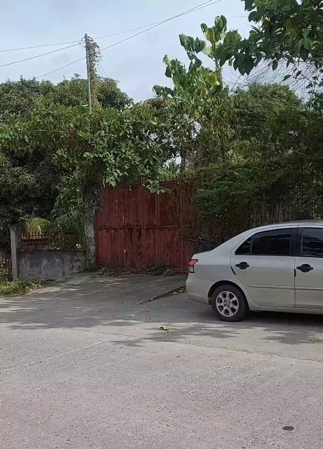 RUSH LOT FOR SALE — Commercial Lot in Negros Oriental, Philippines — Photo 3