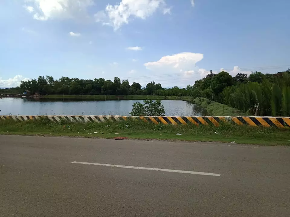 Income Generating Fish Pond — Commercial Lot in Cebu, Philippines — Photo 4