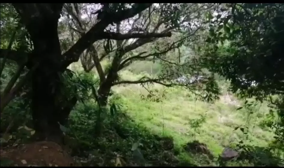 LOT FOR SALE IN BUSAY NEGOTIABLE - photo 4