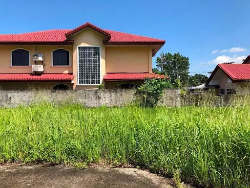 224sqm Lot in Town And Country Talisay — Residential Lot in Talisay City, Negros Occidental, Philippines — Photo 4