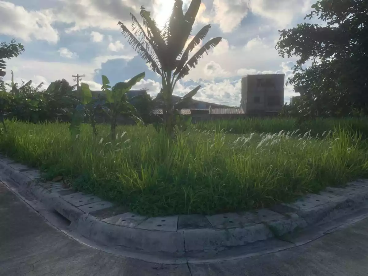 Pacific Grand Villas - photo 3