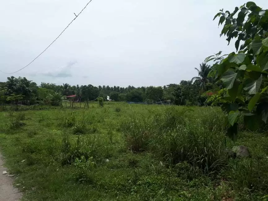 Agricultural lot — Agricultural Lot in General Santos City, South Cotabato, Philippines — Photo 3
