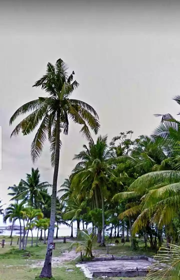 white sand beachlot - photo 5