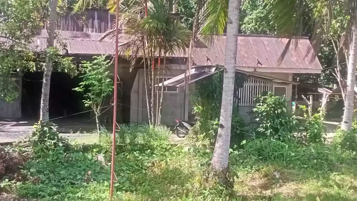 LOT FOR SALE IN ALEGRIA AGUSAN DEL SUR