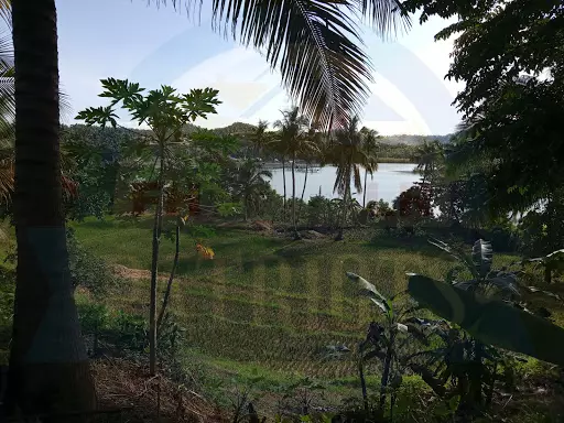 Open photo 98 of 106 — Secret Paradise of Tarangnan Samar