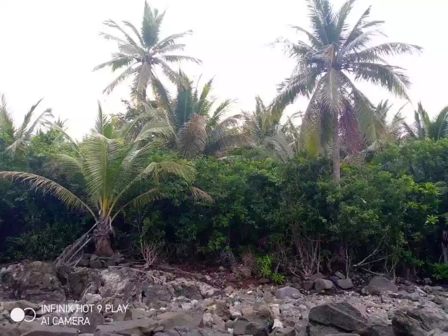BEACHFRONT LOT FOR SALE IN SOCORRO, SIARGAO ISLANDS - photo 3