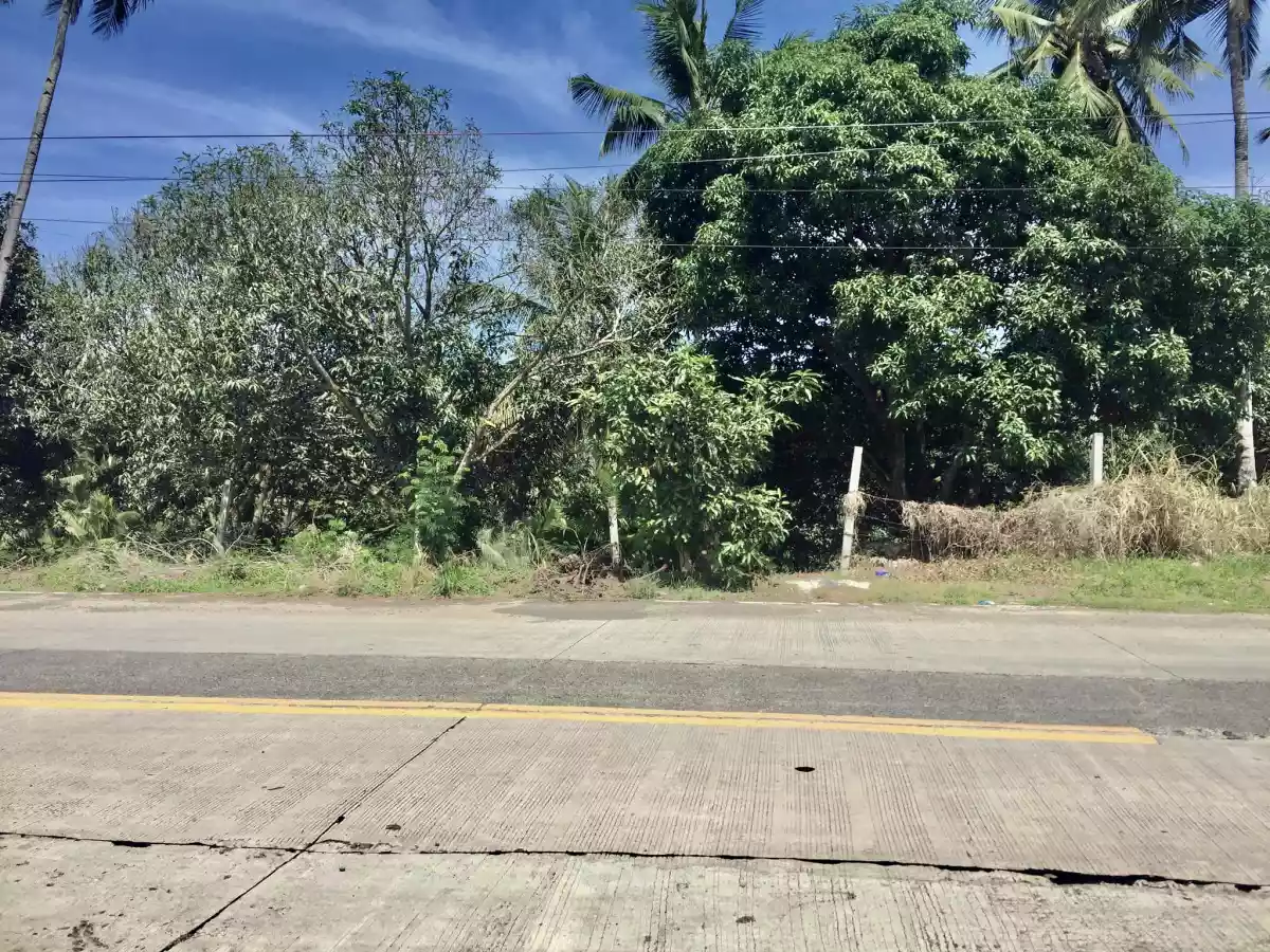 Industrial lot for sale in Bunawan area